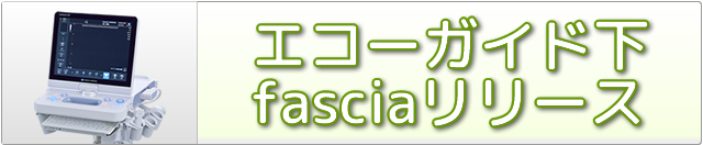 エコーガイド下 Fasciaリリース
