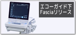 エコーガイド下 Fasciaリリース