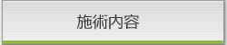 施術内容